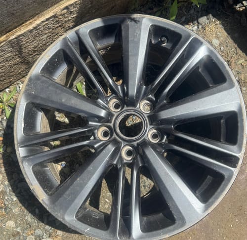 Customer photo review of Raven Superflake Pearls Spray Can Midcoat