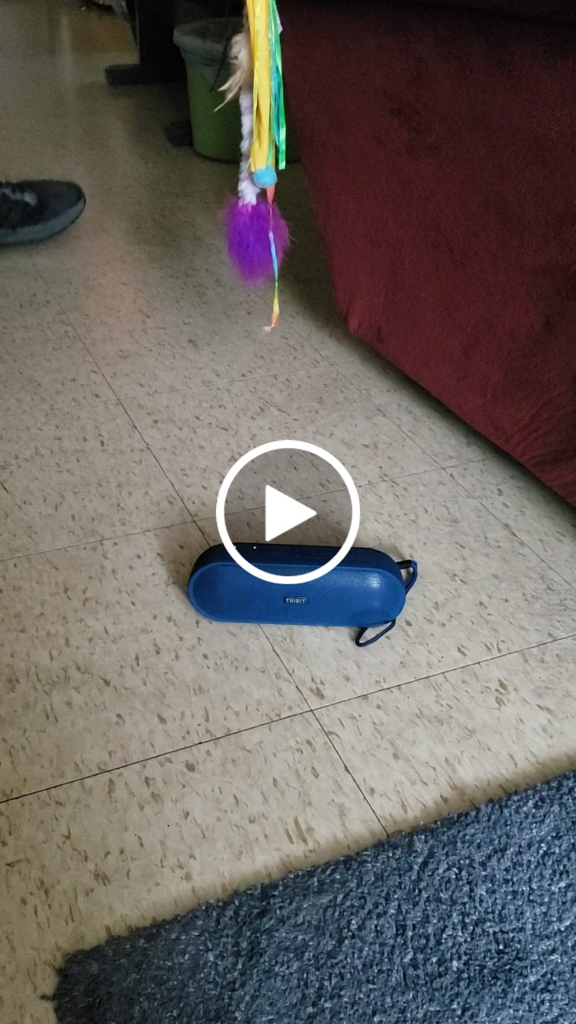 Customer video review of TRIBIT XSound Plus 2 Portable Bluetooth Speaker