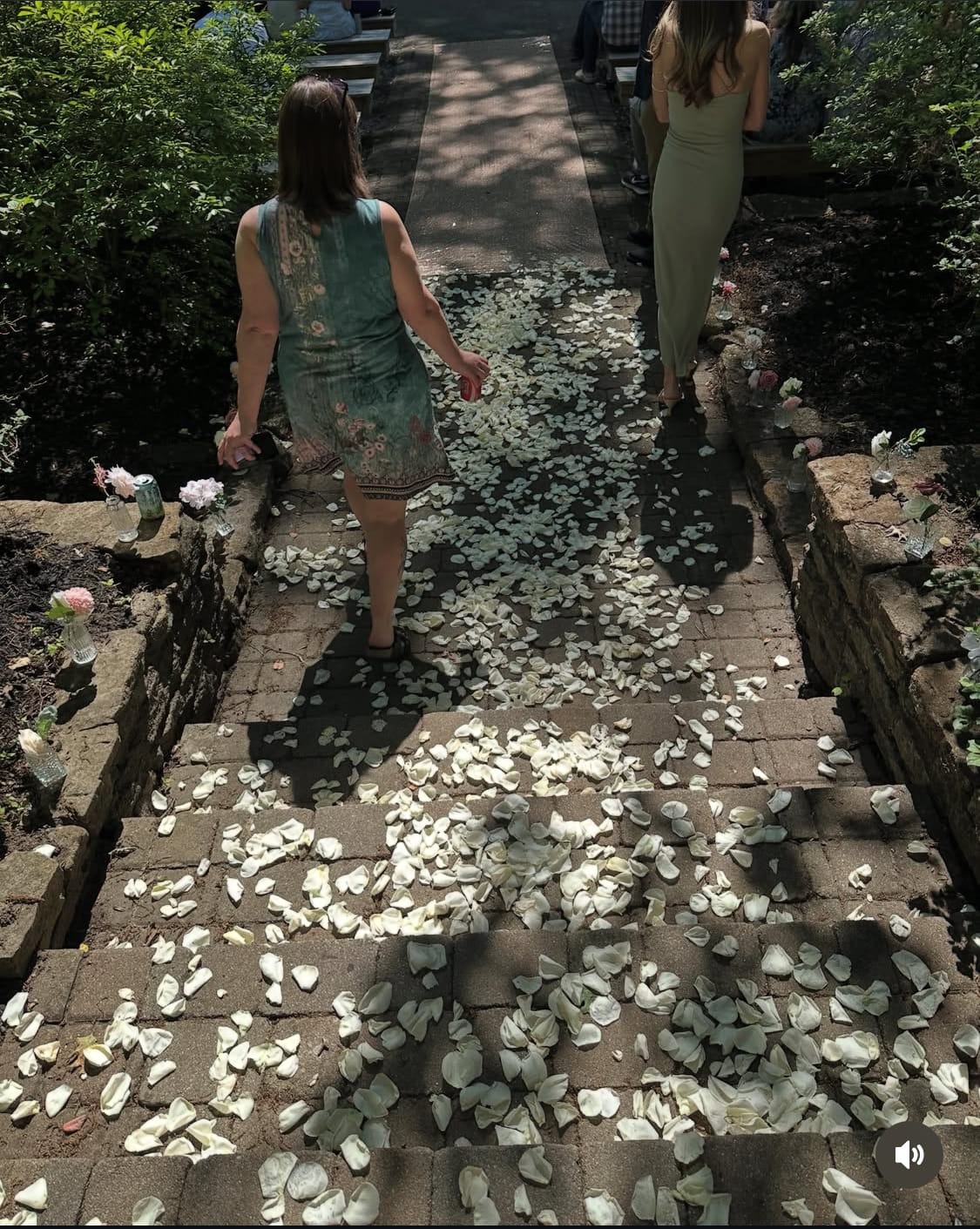 Customer photo review of Light Pink Rose Petals