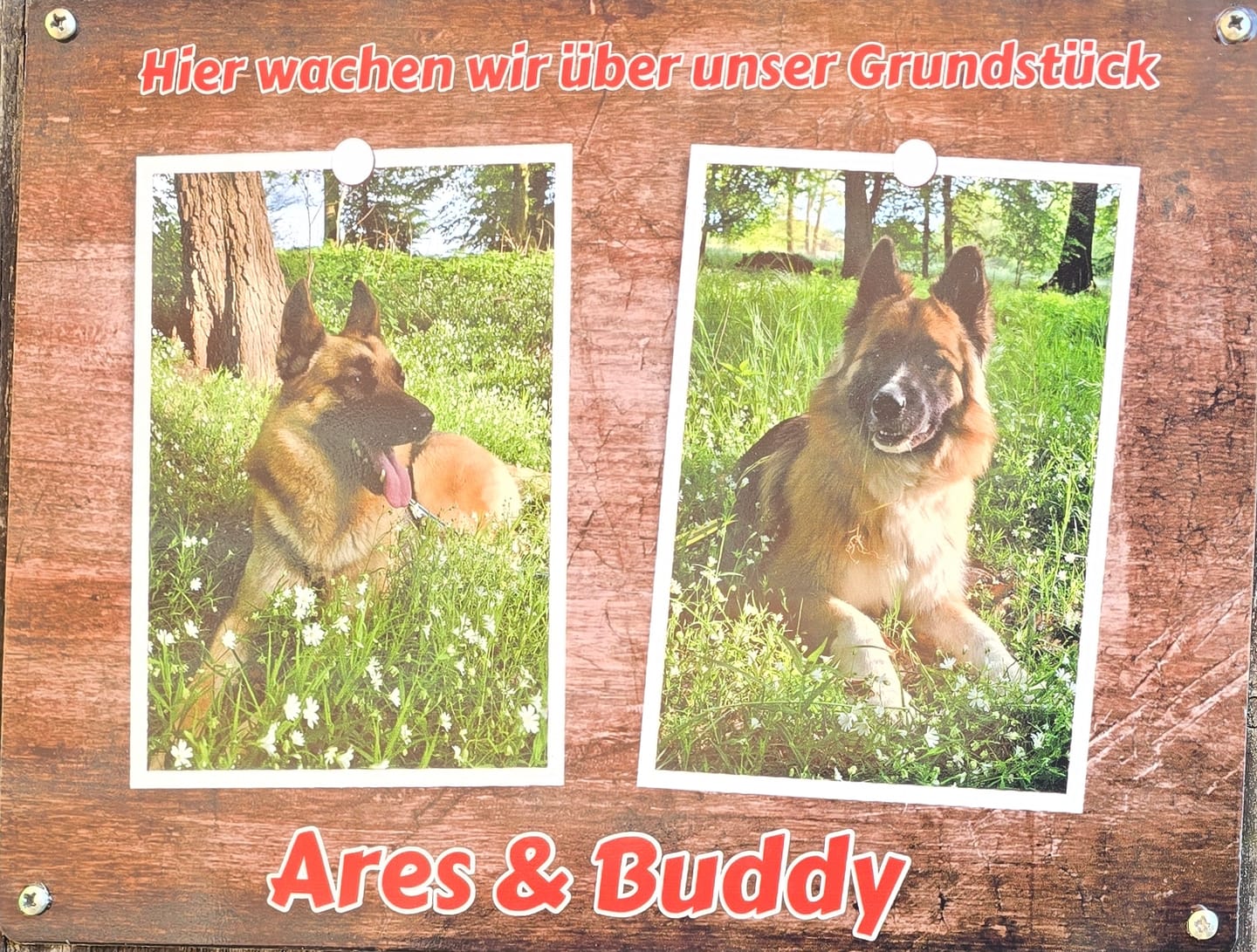 Customer photo review of Hunde-Türschild personalisiert mit Foto & Text (UV- und wetterfest)