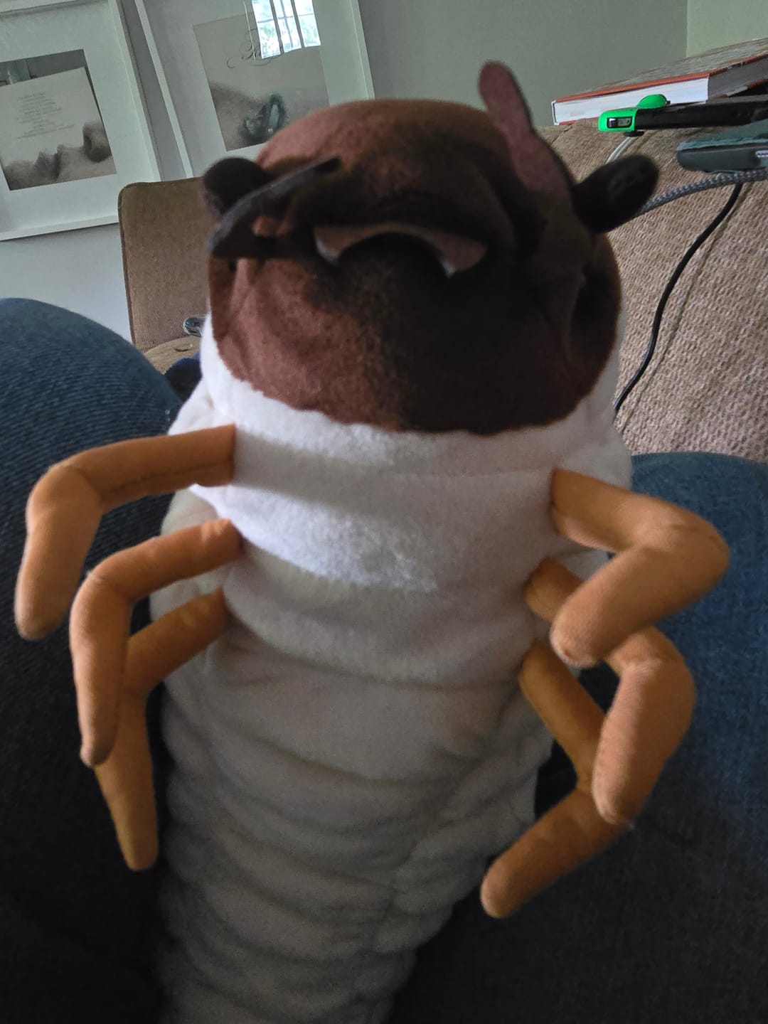 Customer photo review of White Grub Soft Stuffed Plush Toy