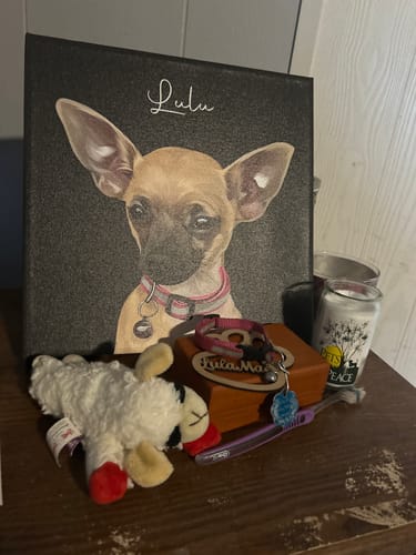 Customer photo review of Pet Art Canvas Wrap