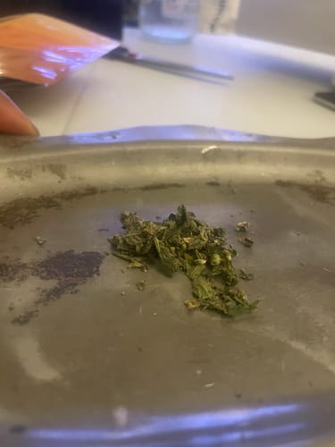 Customer photo review of Exotic Shake