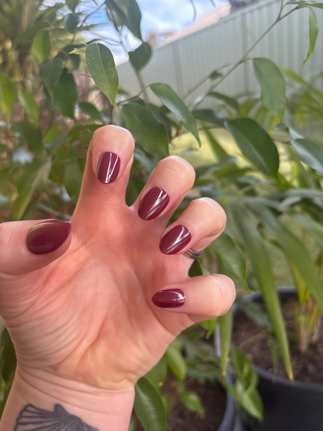 Customer photo review of Bordeaux