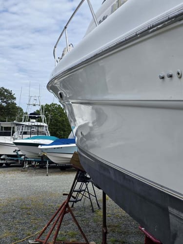 Customer photo review of Wake-Up - 32oz