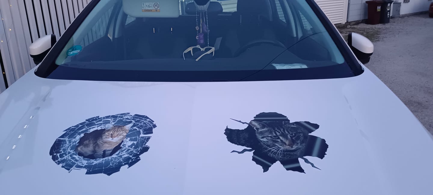 Customer photo review of Spähendes Foto Glas - Individueller Autoaufkleber