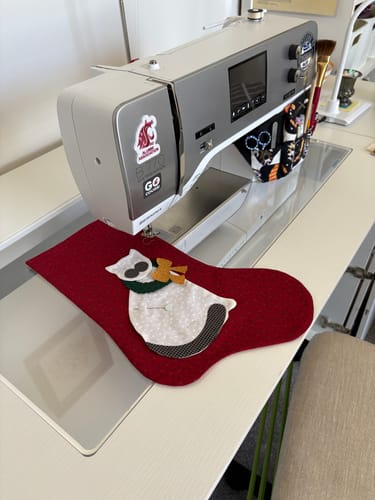 Customer photo review of Custom Sewing Machine Insert