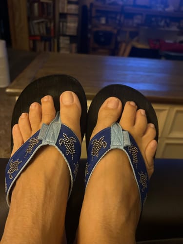 Customer photo review of Ocean Legends Turtles