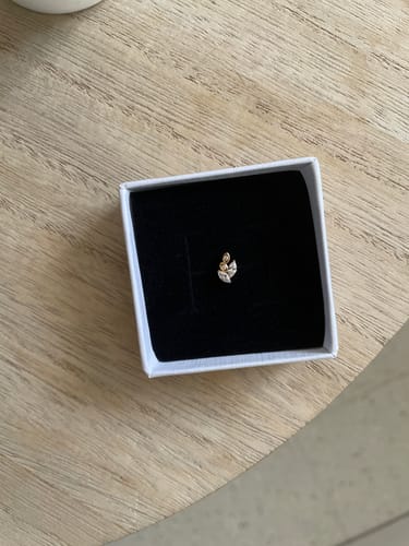 Customer photo review of Le piercing Annie