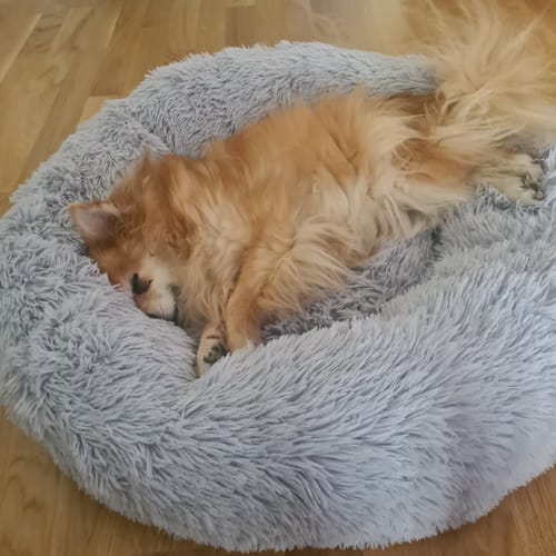 Customer photo review of CalmBed - Motverkar stress & hjälper mot ångest