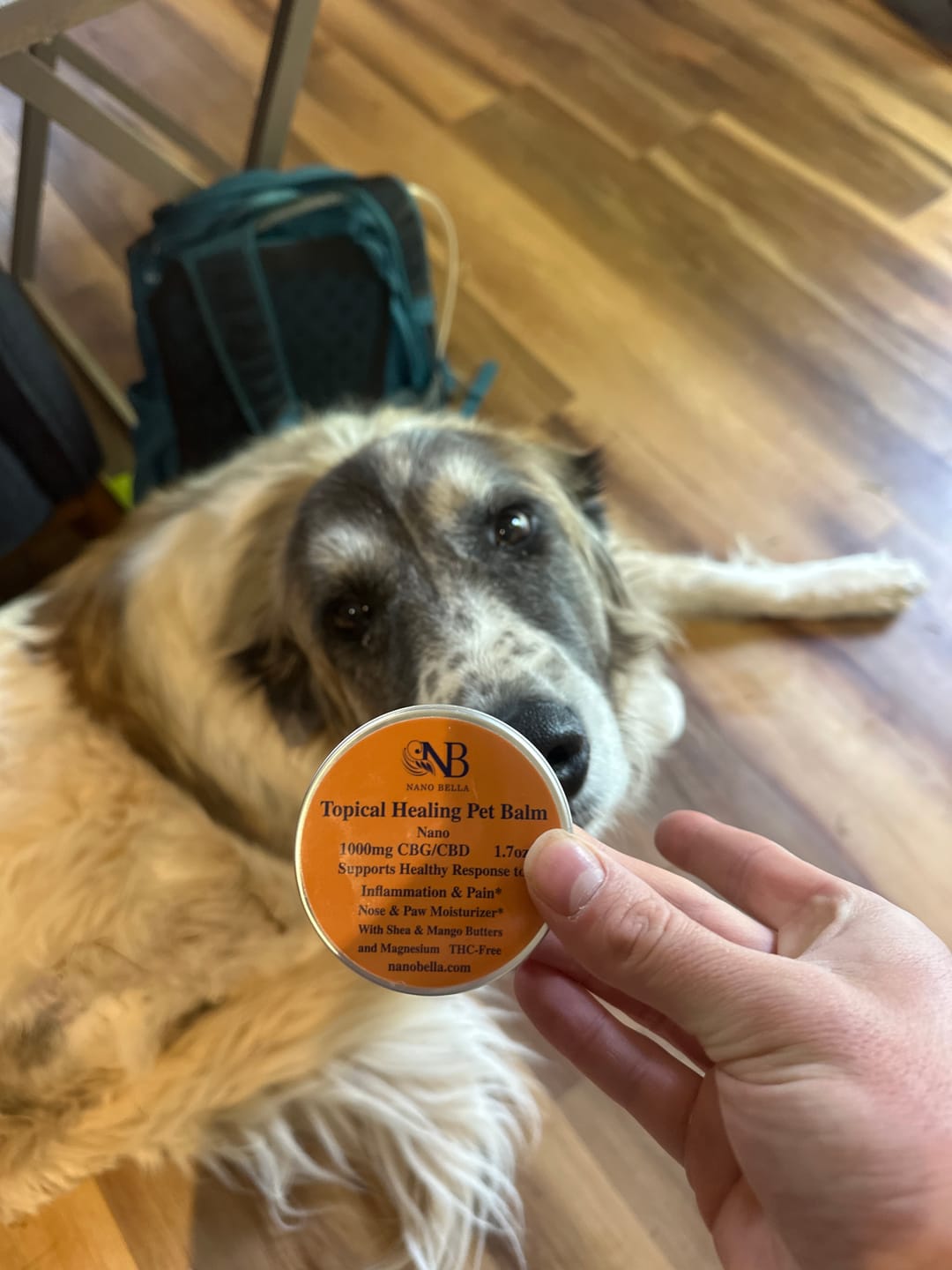 Customer photo review of CBG Pet Balm
