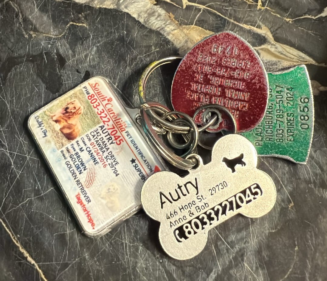 Customer photo review of Hollow-carved Dog ID Tags