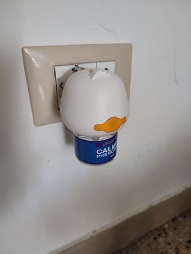 Donatella M. review of Ricarica Diffusore (48 ml) image 1 out of 1