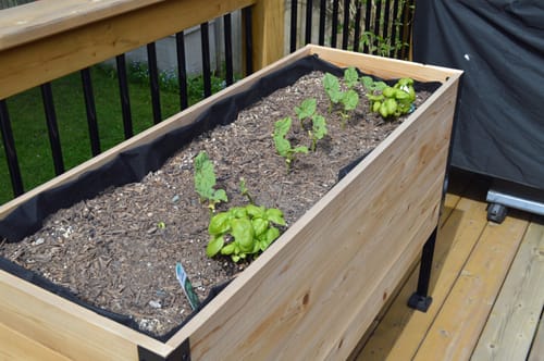 Customer photo review of Platform Feet