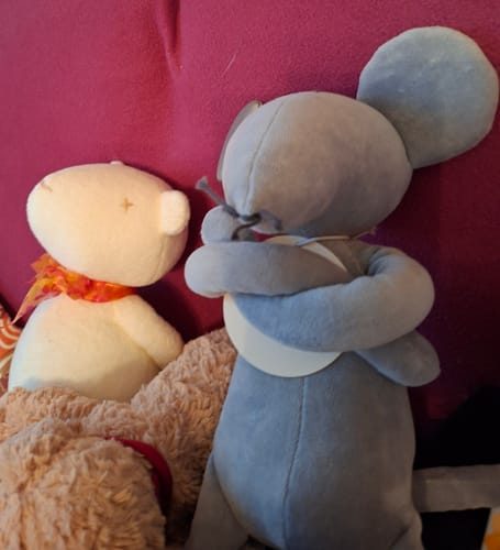 Customer photo review of HECTOR, LE RAT - GRAND