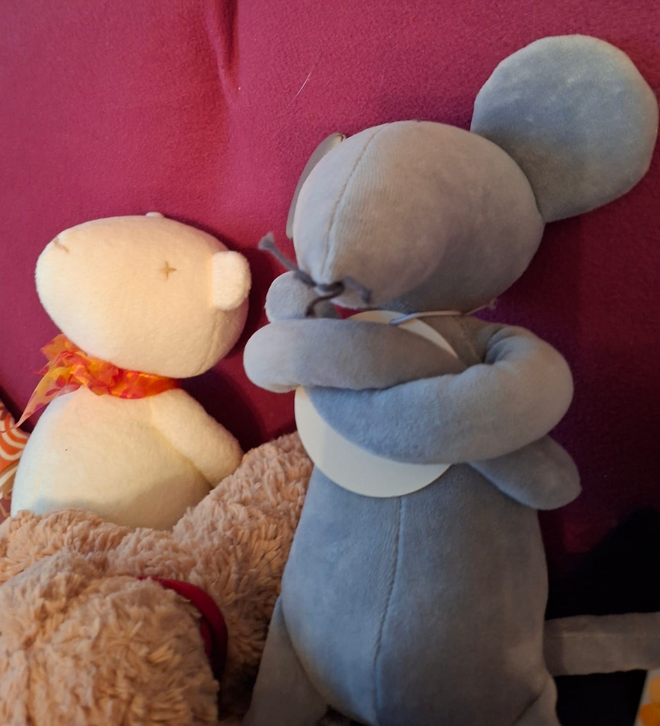 Customer photo review of HECTOR LE RAT - L