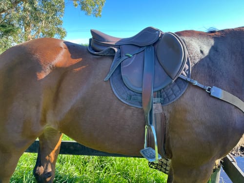 Customer photo review of Flexible Fit Comfort Stability Stirrup Leathers