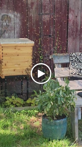 Customer video review of BeeCastle Beehive 10 Frame 4 Layer:Beeswax Coated Bee Hive with 2 Deep Brood,2 Super Boxes,Complete with Wooden Frames and Beeswax Plastic Foundation.Logo Free Hive for a Natural Beekeeping Experience