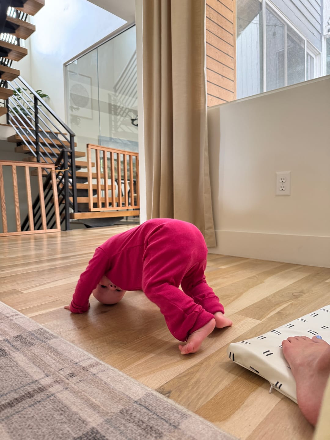 Customer photo review of baby adventure zippy