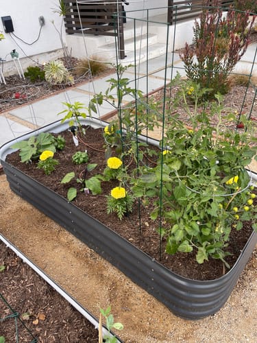 Customer photo review of Epic Gardening Gift Cards (Digital) -CS