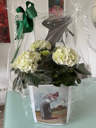 Customer photo review of Gartenstecker Golferin