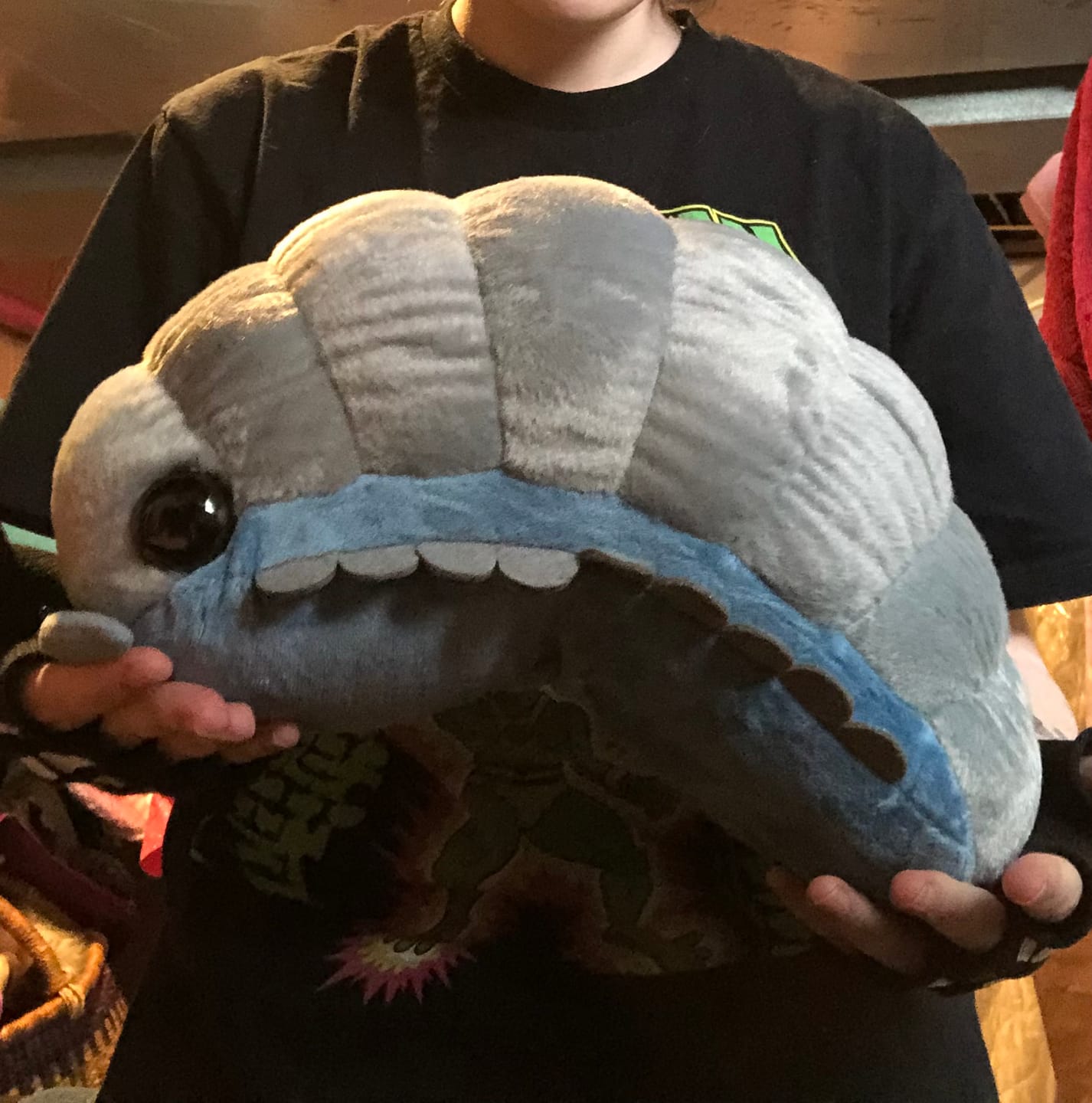 Customer photo review of Isopod Plushie (2 COLORS, 2 SIZES)