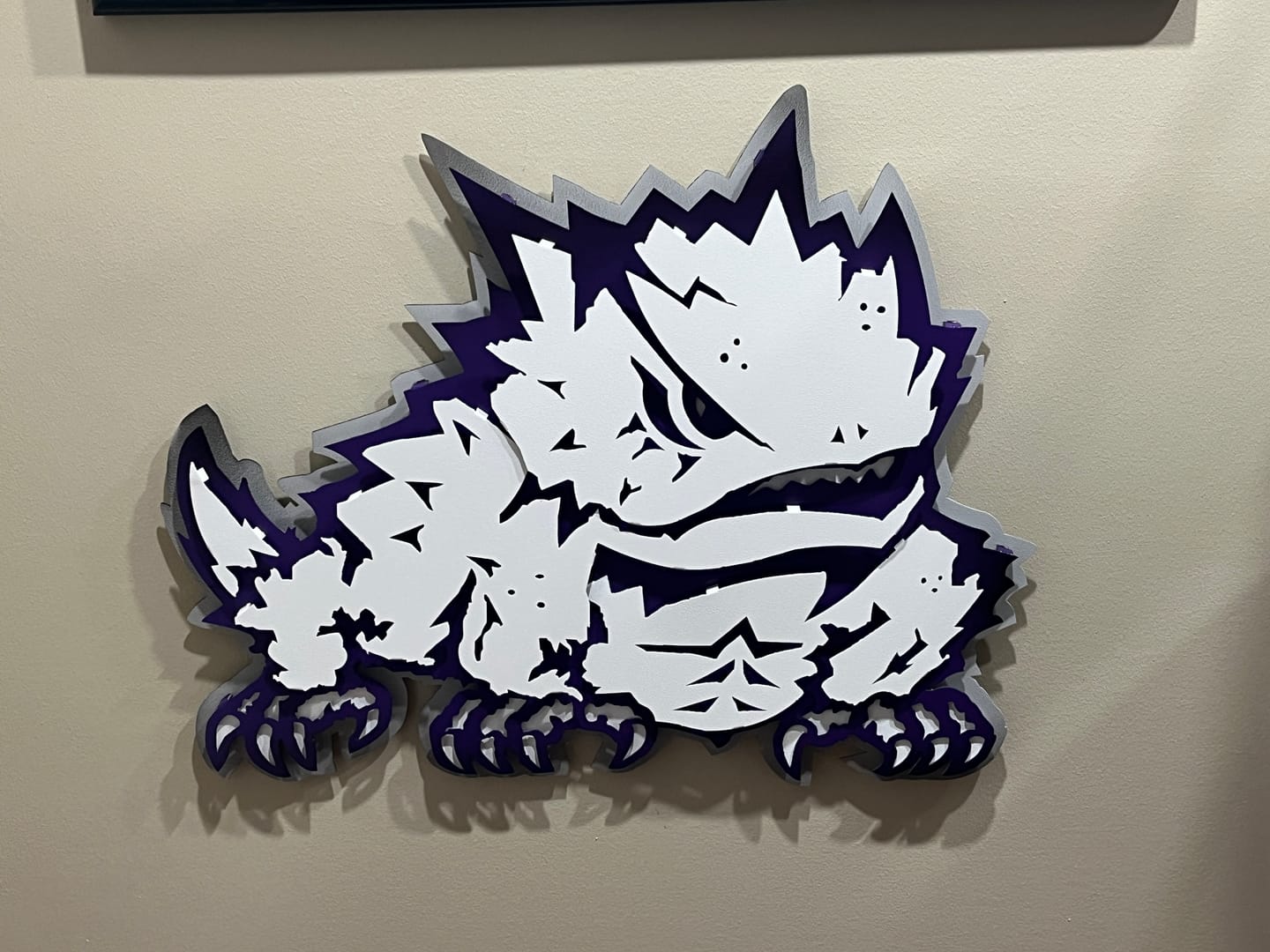 Customer photo review of TCU Texas Christian "Horned Frog" 3D Vintage Metal Wall Art