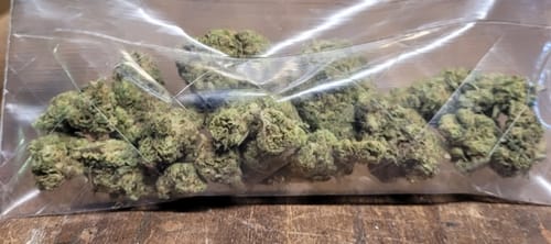 Customer photo review of Hashburger