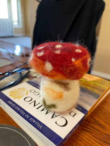 Customer photo review of Sophie Wheatley's Felted Fungi Supplies Box