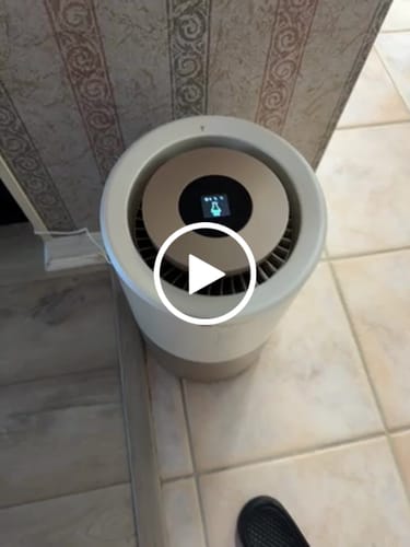 Customer video review of Pet Air Purifier