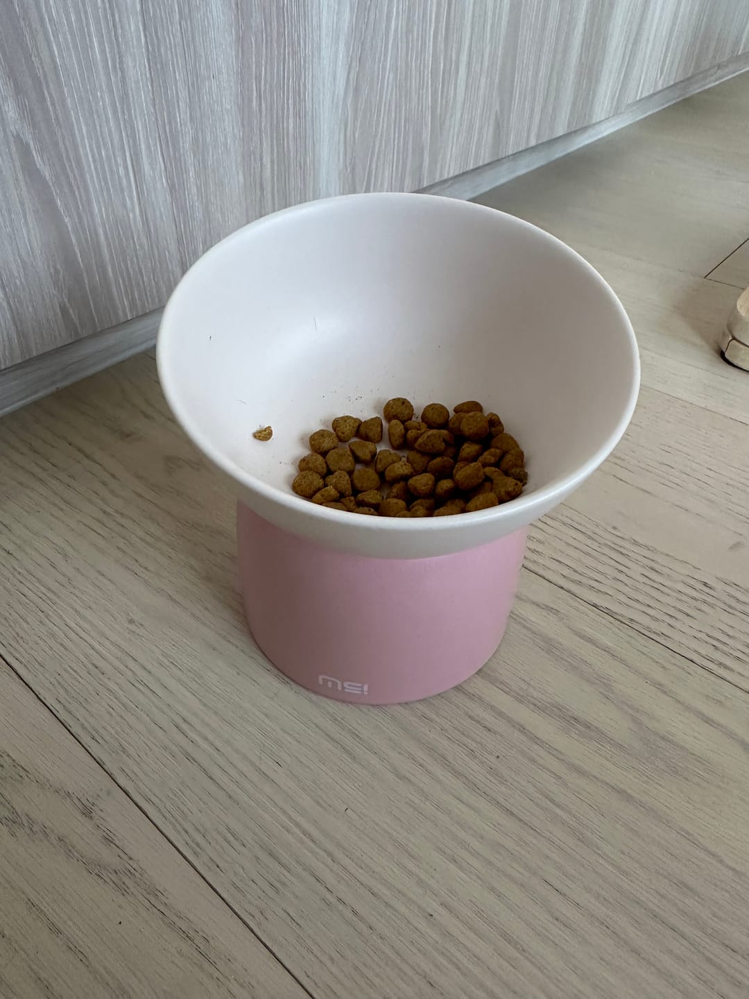 Customer photo review of Makesure Sugar Bean Ceramic Double Pet Bowls For Cat and Small Dogs