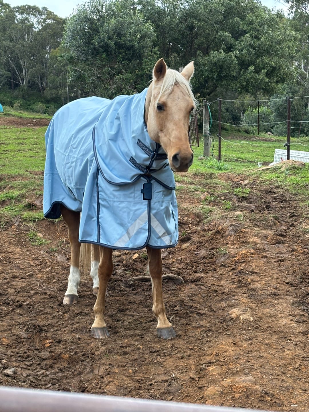 Customer photo review of LE Boxter Turnout 0g