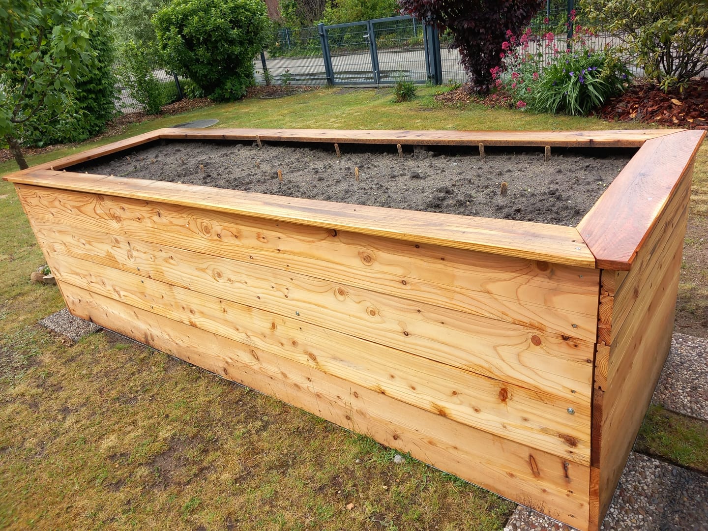 Customer photo review of Saatgut-Abobox 'Gartengemüse'