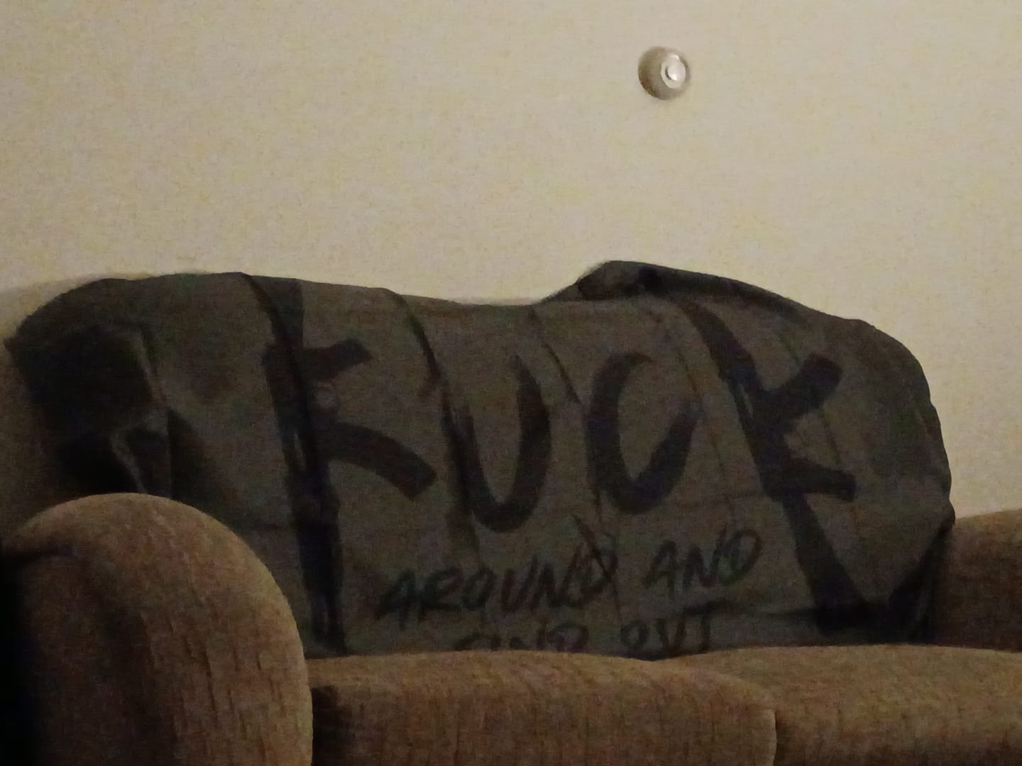 Customer photo review of Fck Around And Find Out Flag