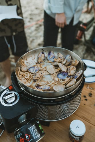 Customer photo review of COBB Grill Gas Bundle