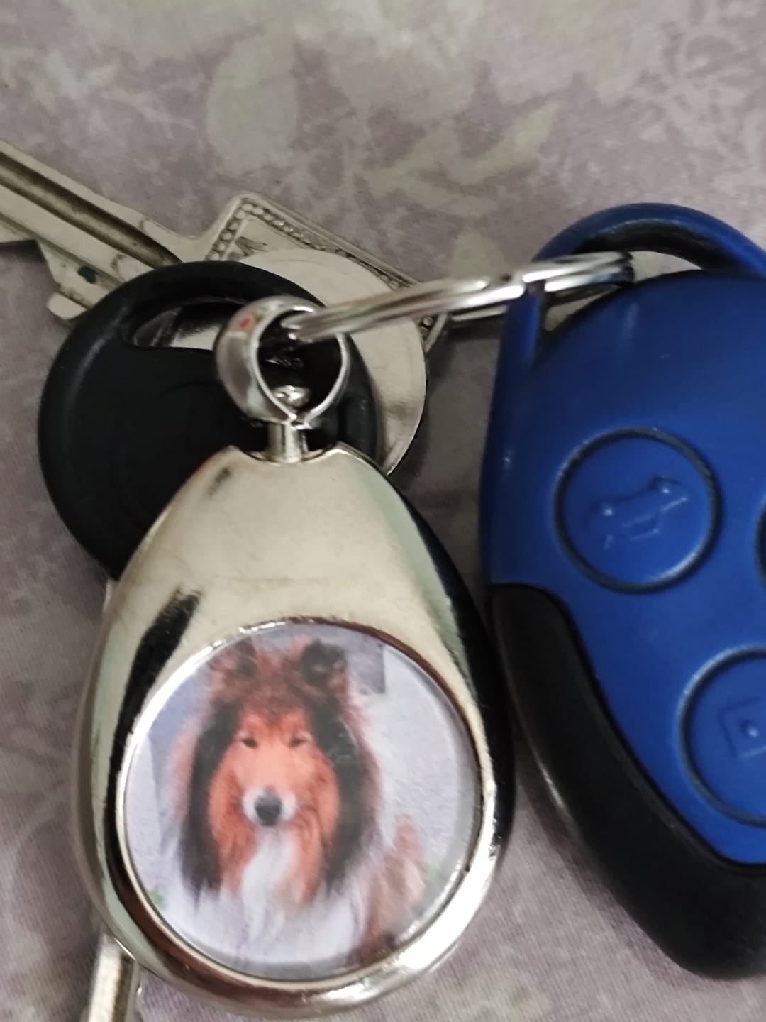 Customer photo review of Schlüsselanhänger mit Hundefoto