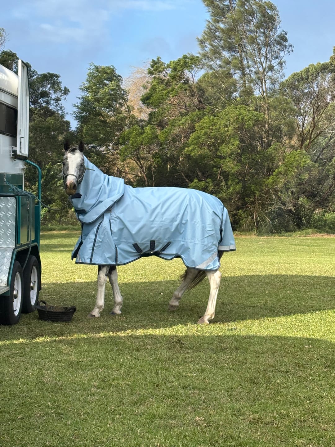 Customer photo review of LE Boxter Turnout 0g