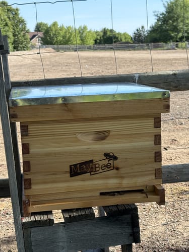 Customer photo review of (No Frame No Foundation)MayBee Hives Beekeeping Accessories Kit Hive Beeswax Coated 10 Frame Langstroth Beehive Include 1 Bee Deep Body And 1 Bee Super Hive Body (Metal Queen Excluder,Solid Bottom Board)