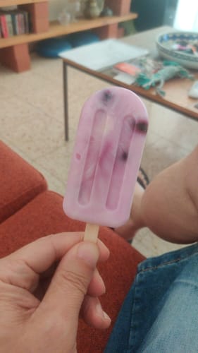 Customer photo review of 9 תבניות סיליקון להכנת ארטיקים