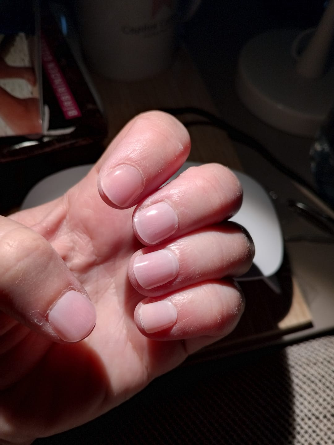 Customer photo review of N Clean Girl Jel Tırnak 30 Adet, 2 Kullanım