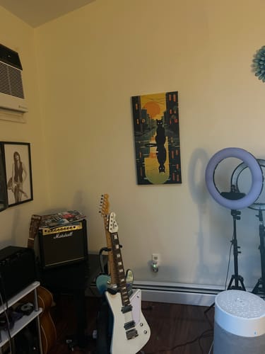 Customer photo review of Minimalist Black Cat