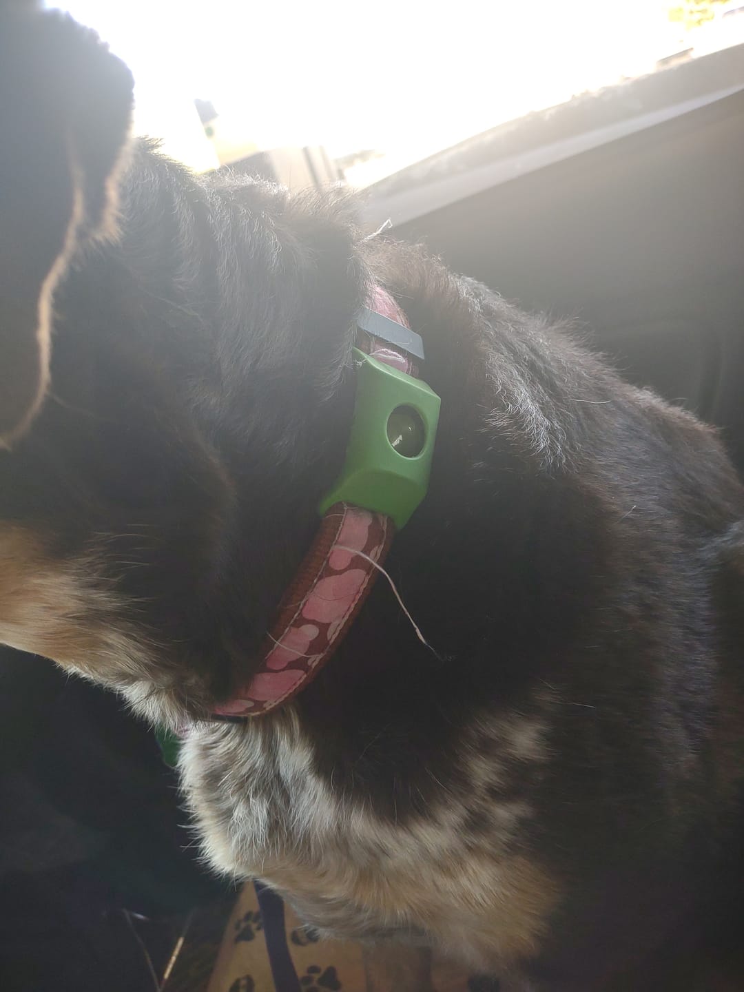 Customer photo review of FurLife Shipping Protection