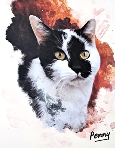 Customer photo review of Watercolour - Custom Pet Portrait