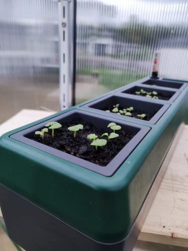 Customer photo review of Kräuterbeet "PROVENCE" für die Fensterbank mit 4 herausnehmbaren Töpfen