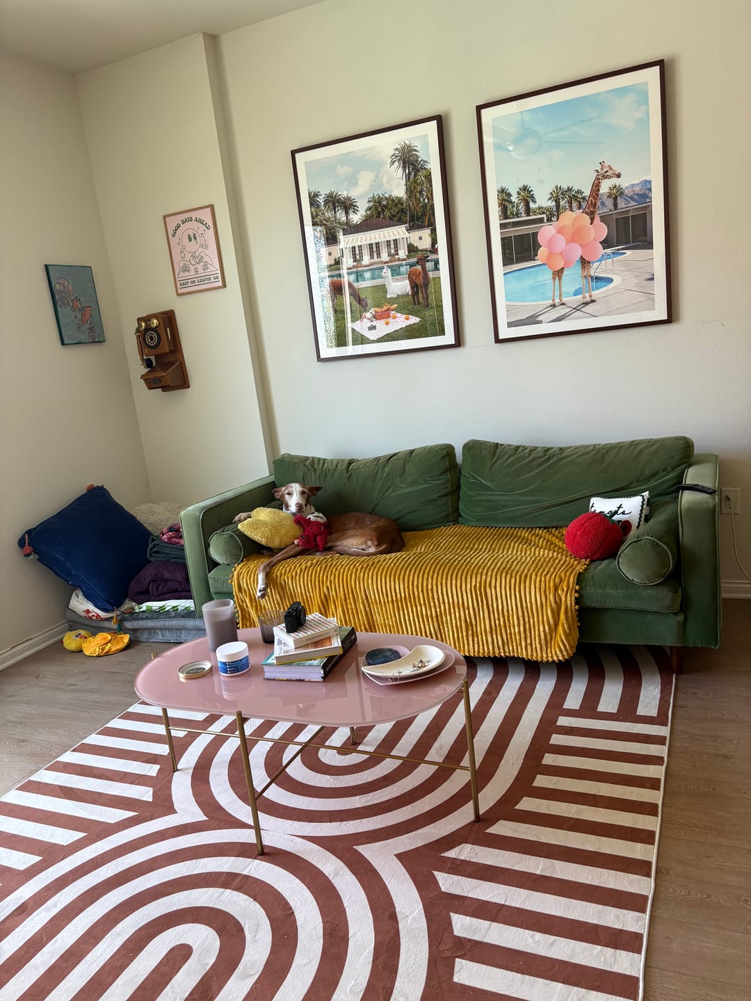 Customer photo review of Curvy Brown Stripes Design Rug