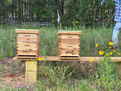 Customer photo review of MayBee Hives Standard 8 Frame 2 Layer Langstroth Beehive Dipped in 100% Beeswax Include 1 Deep Brood Box and 1 Super Box with Pine Wooden Frames and Beeswax plastic Foundation