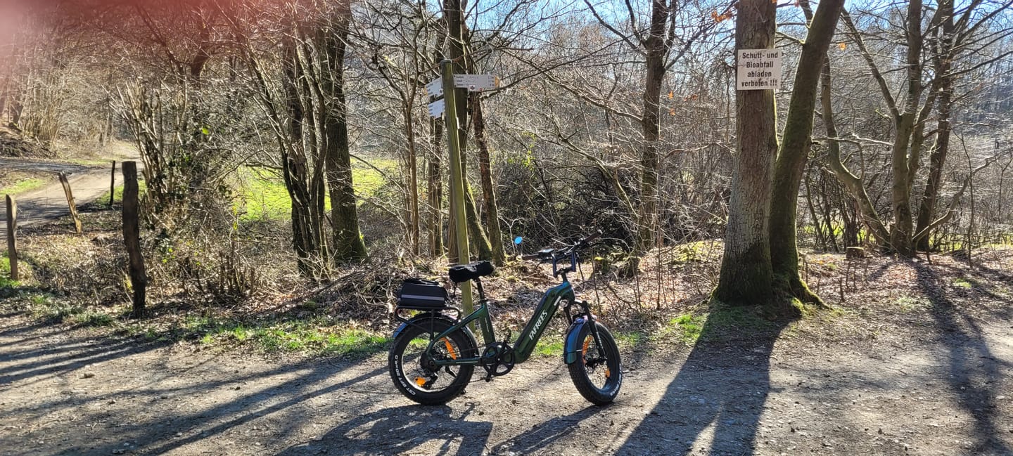 Customer photo review of Battery for Ebike