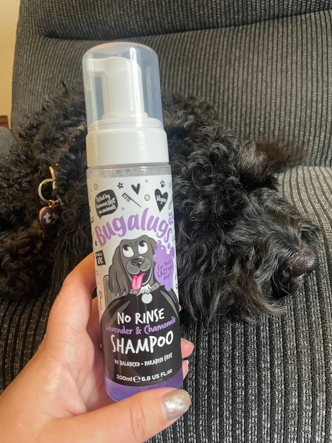 Customer photo review of No Rinse Lavender & Chamomile Dog Shampoo