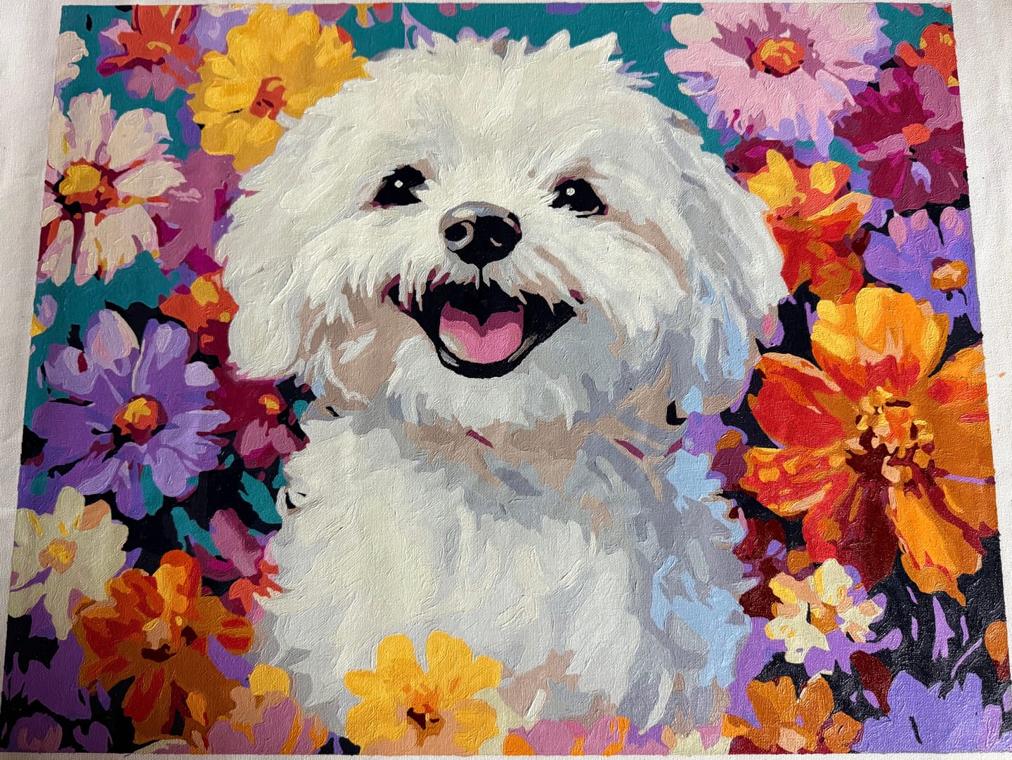 Customer photo review of Bichon Frise