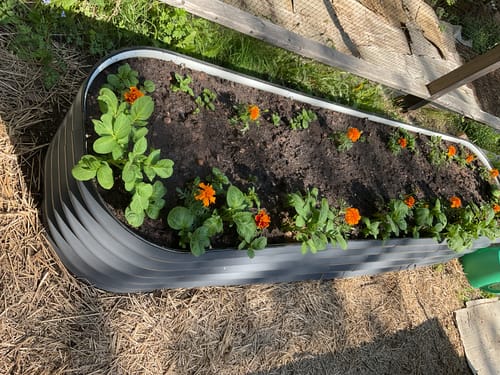 Customer photo review of 17” Tall Modular 9 in 1